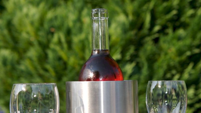 Comprehensive Guide to Choosing the Perfect Wine Cooler for Your Collection