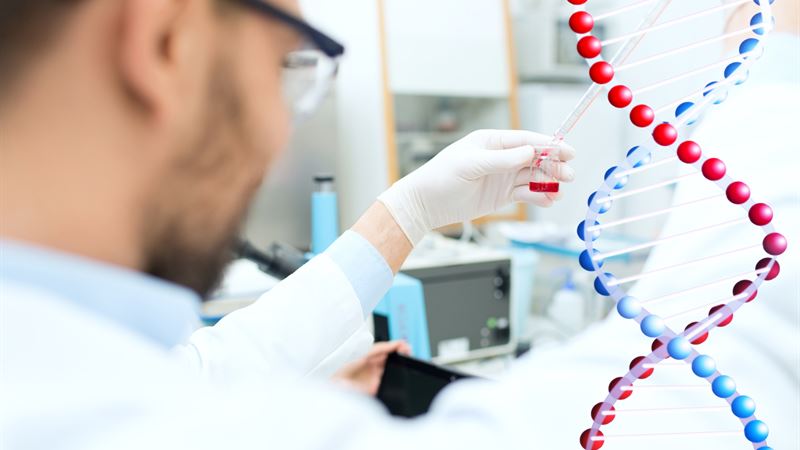 Comprehensive Guide to Choosing Between Living DNA and MyHeritage for Genetic Testing