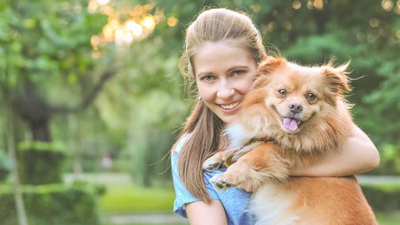 Essential Considerations Before Bringing a Dog Into Your Home