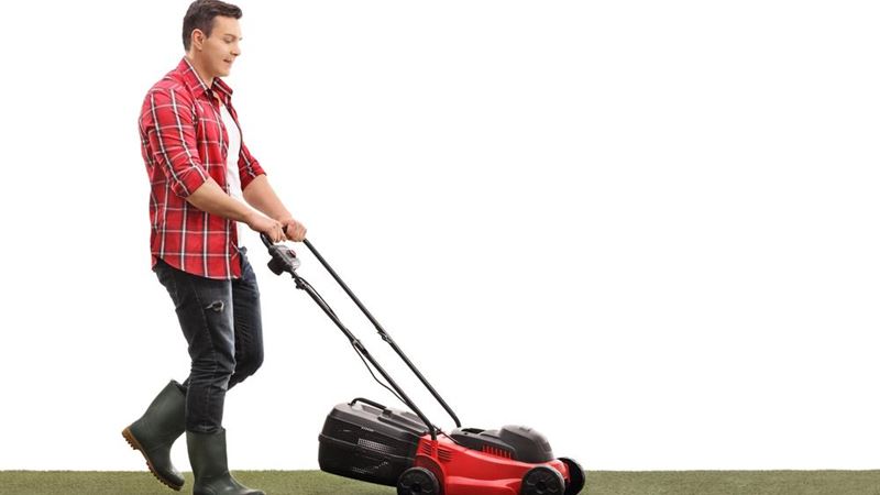 Comprehensive Guide to Purchasing the Perfect Lawn Mower During Sales Events