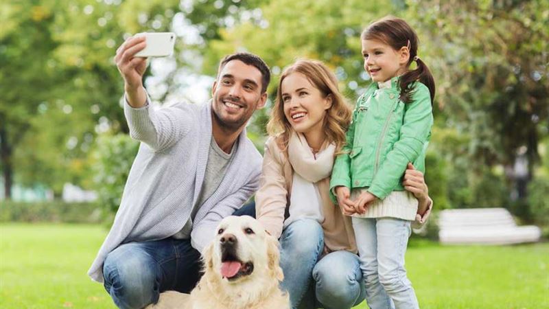 Comprehensive Guide to the Most Popular Pet Insurance Plans Preferred by Pet Owners