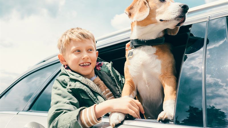 Essential Guide to Pet Insurance: What Every Pet Owner Must Know