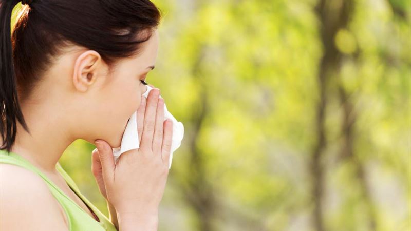 Comprehensive Guide to Recognizing and Managing Pollen Allergies