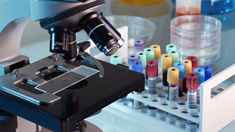 Comprehensive Guide to Using Your AncestryDNA Testing Kit Effectively