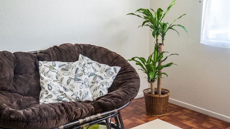 Maximizing Profits: An In-Depth Guide to Selling Your Used Furniture Successfully