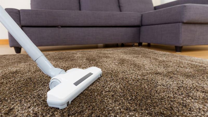 Choosing the Ideal Carpet for Your Home: A Comprehensive Guide