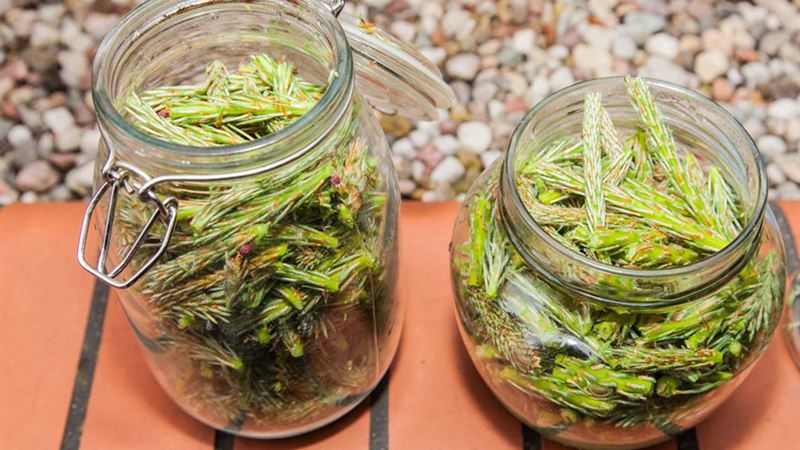 Top Natural Remedies to Heal Yeast Infections Effectively at Home