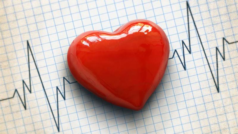 Comprehensive Guide to Understanding Cholesterol Levels and Monitoring Charts
