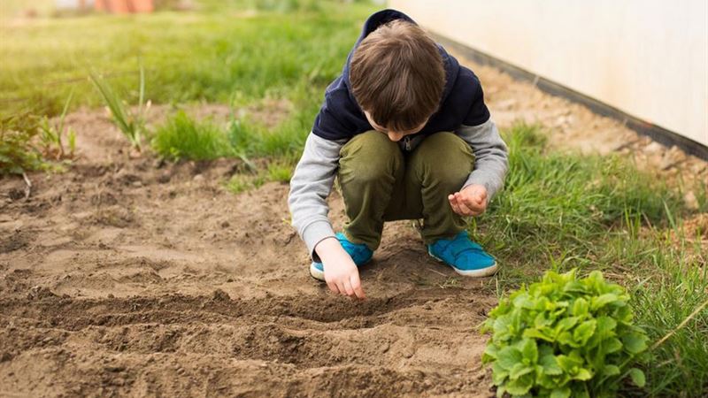 Enhancing Your Home and Garden: Expert Tips for a Beautiful Living Space