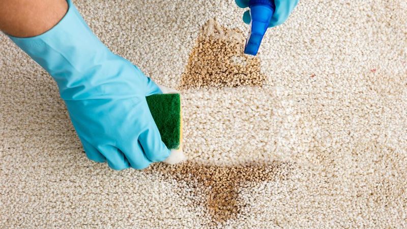 Comprehensive Guide to Maintaining a Spotless Carpet: Top Strategies and Expert Tips