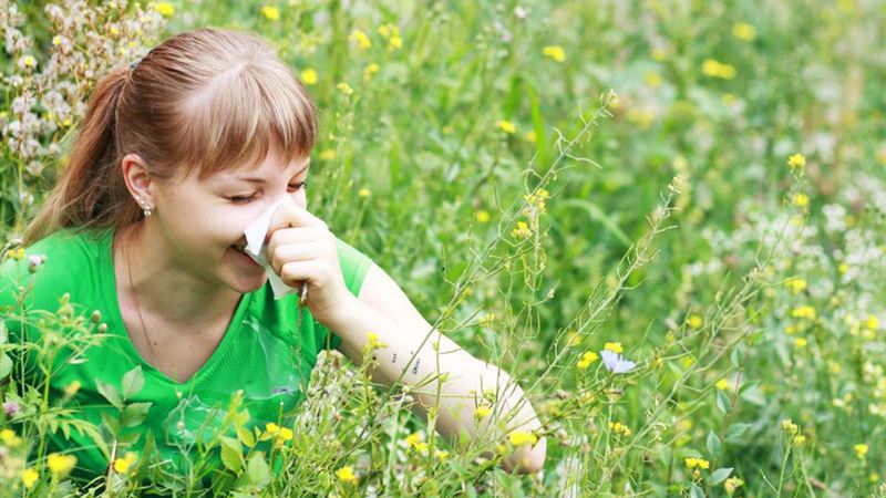 Effective Strategies and Remedies for Managing Seasonal Allergies
