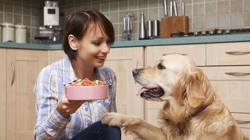 Comprehensive Guide to Common Food Allergies in Cats and Dogs