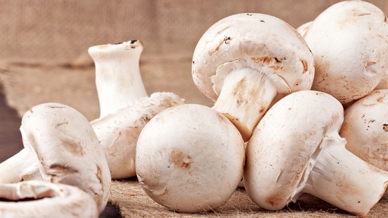 Nutritional Strategies and Food Choices to Alleviate Depression Symptoms