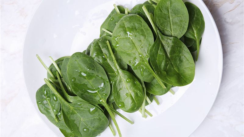 Essential Dietary Strategies for Managing Hemophilia Effectively