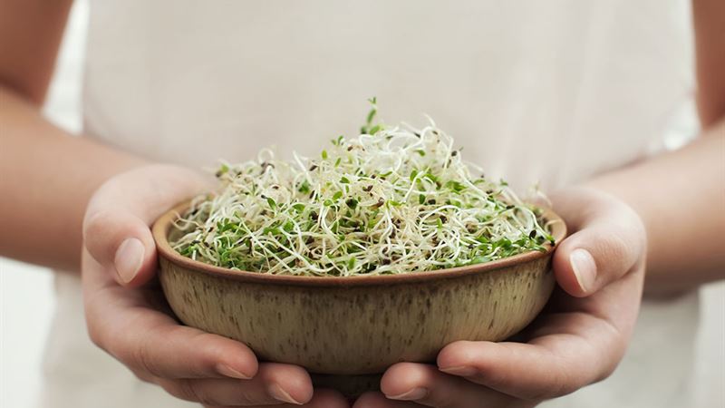 Essential Dietary Guidelines to Manage Lupus Effectively