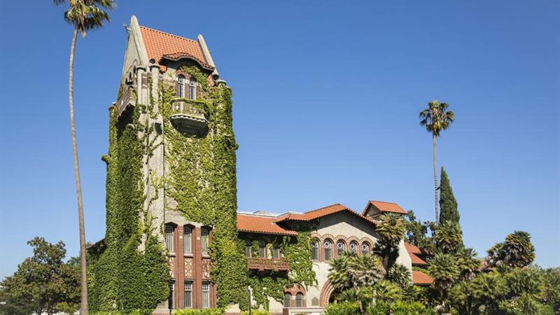 Top 3 Universities Offering Comprehensive Online Psychology Degree Programs