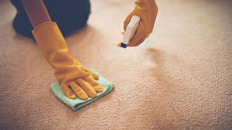 Ultimate Guide to Selecting the Best Carpet Stain Removal Products and Services