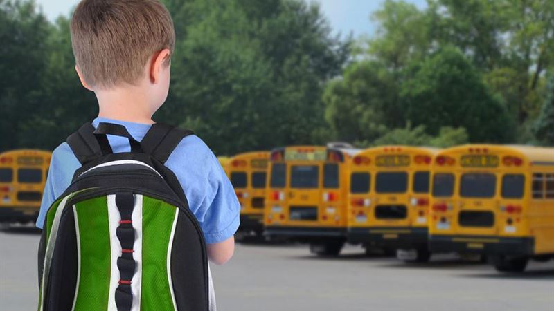 Effective Strategies to Enhance Safety in Educational Institutions