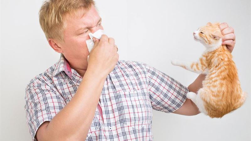 Comprehensive Guide to Recognizing and Managing Pet Allergy Symptoms