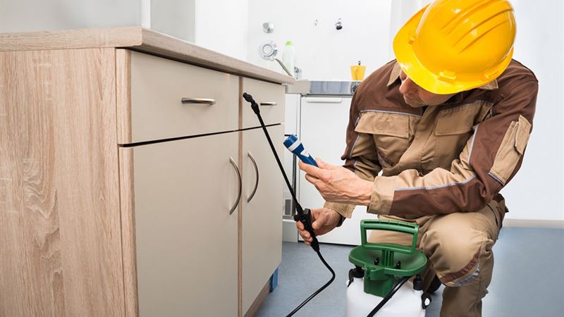 Comprehensive Guide to Pest Management Software: Advantages, Selection Strategies, and Leading Brands