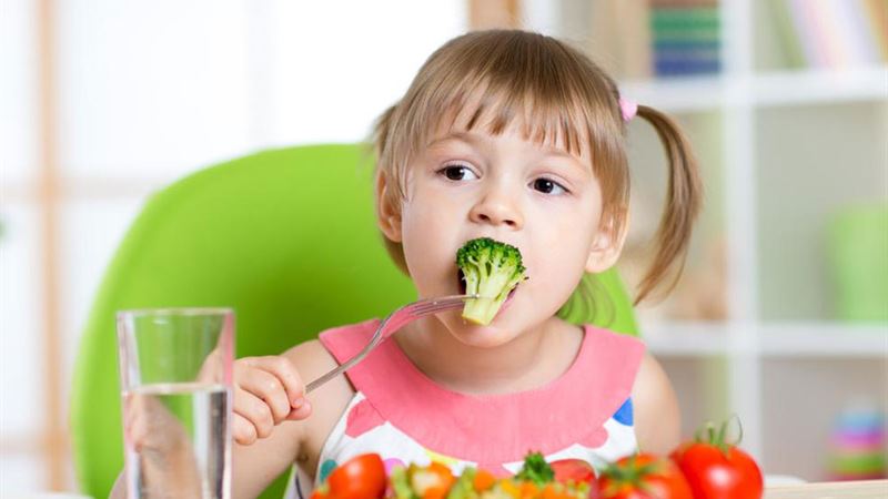 Creative and Healthy Non-Sandwich Lunch Ideas for Kids to Enjoy