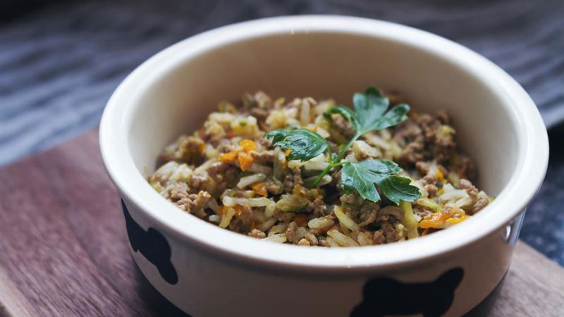 Ultimate Guide to Healthy Homemade Dog and Puppy Meals