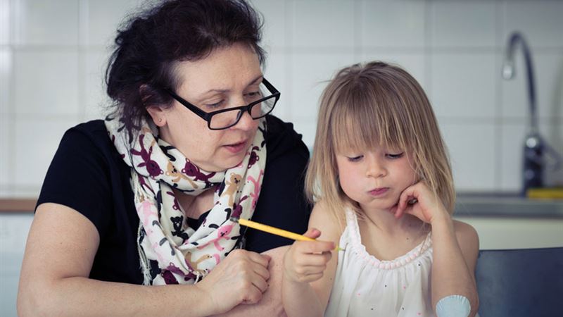 Comprehensive Guide to the Implementation of Preschool Curriculums