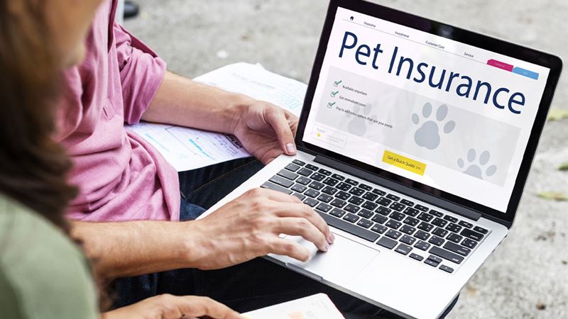 Comprehensive Guide to Pet Insurance and Leading Providers