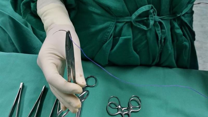 Comprehensive Overview of Inguinal and Hiatal Hernias: Symptoms, Risks, and Treatment Options