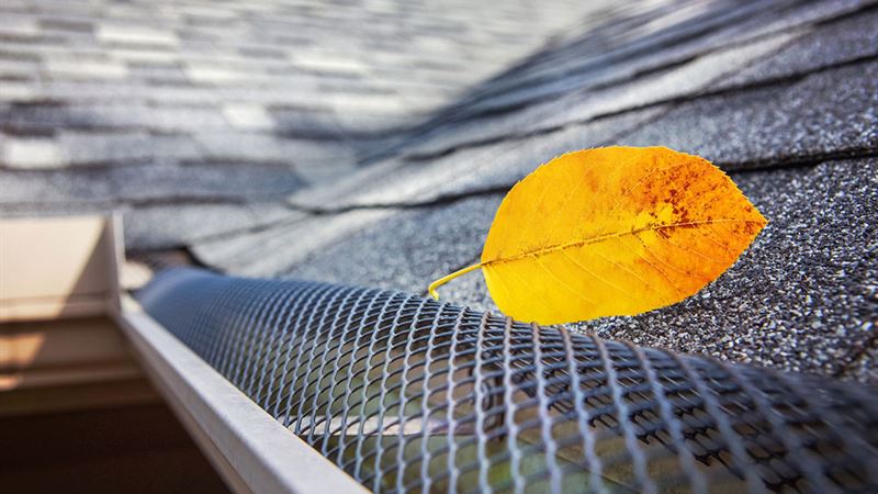 Comprehensive Guide to Gutter Protection Systems: Types, Installation, and Cost Insights