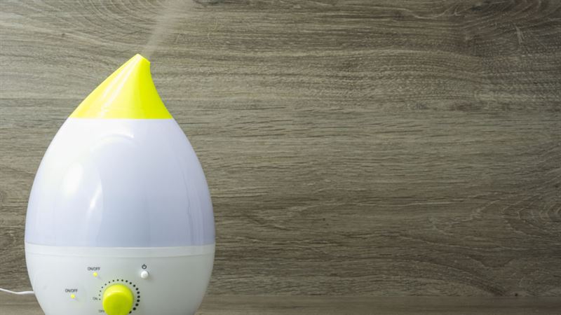 Essential Factors to Evaluate When Selecting a Humidifier for Your Home