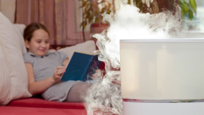 Essential Considerations Before Selecting the Perfect Air Purifier