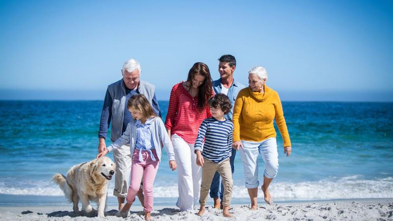 Ultimate Guide to Pet-Friendly Cottages for a Memorable Family Vacation