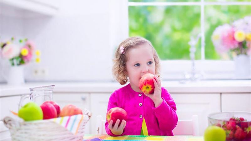 Comprehensive Weekly Meal Planning Guide for Kids: Nutritious and Delicious Eating Habits