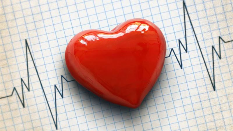 Understanding the Importance of Resting Heart Rate Monitoring for Long-Term Health