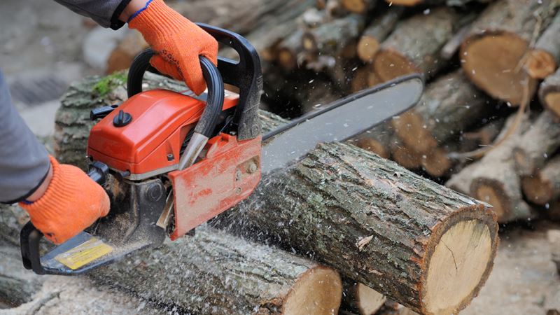 Ultimate Guide to Top Chainsaw Brands for Reliable Cutting Power