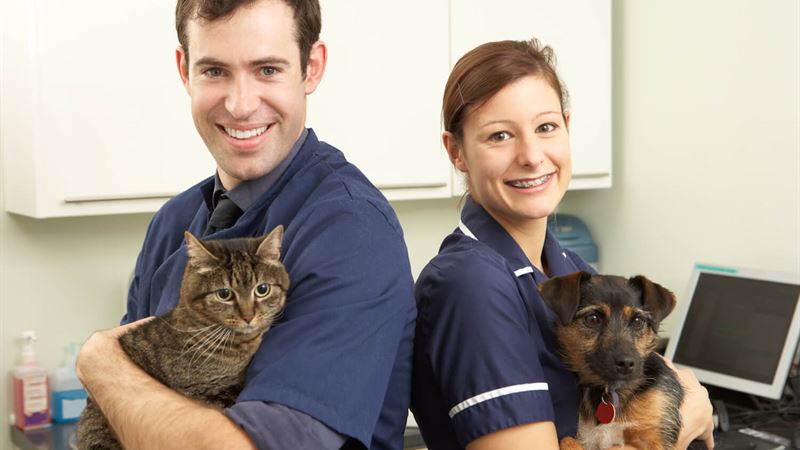 Comprehensive Guide to Pet Insurance for Pre-Existing Health Conditions
