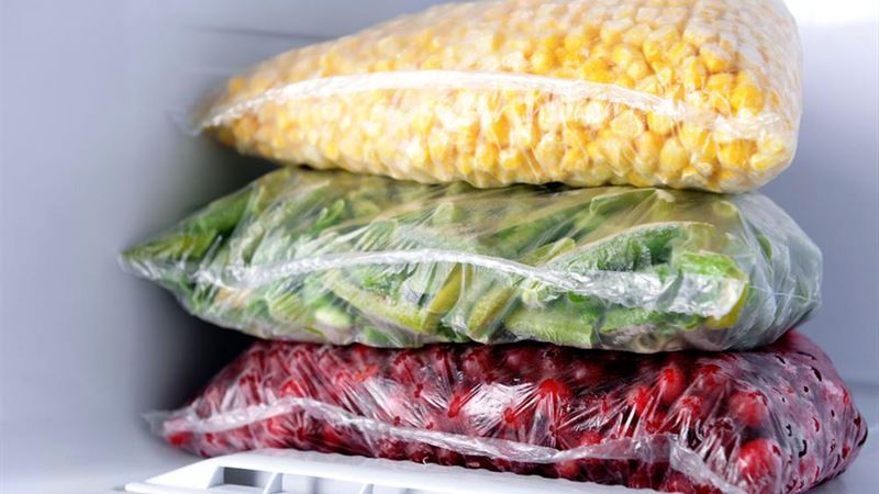 Ultimate Guide to Extending Food Freshness with the Right Freezing Solutions