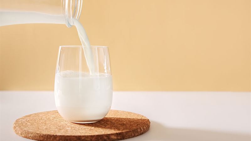 Comprehensive Guide to Lactose-Free Milk: Top 3 Best Products and Benefits