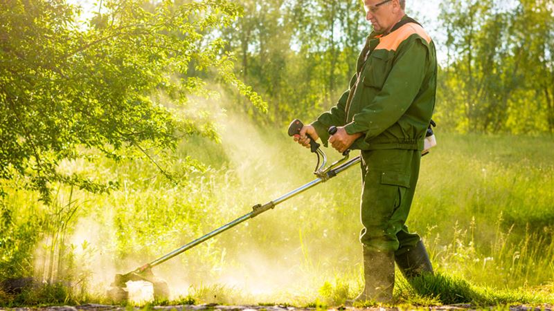 Comprehensive Guide to Choosing the Perfect Brush Cutter for Your Garden Needs