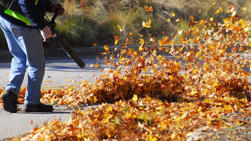 Ultimate Guide to the Top Leaf Blowers for Your Yard in 2024