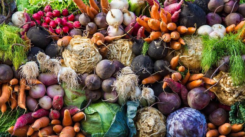 Enhance Cognitive Function and Memory Through Optimal Nutrition Strategies