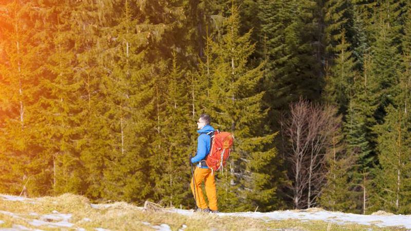 Comprehensive Guide to Top Ski Bags During Clearance Sales