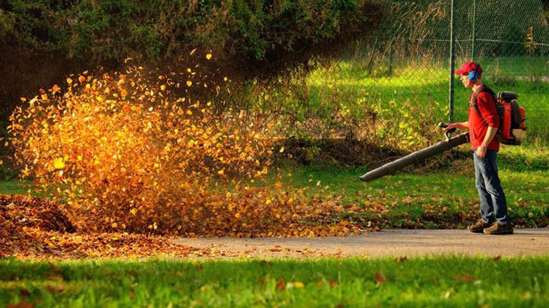 Essential Guide to Selecting the Perfect Leaf Blower for Your Garden Needs