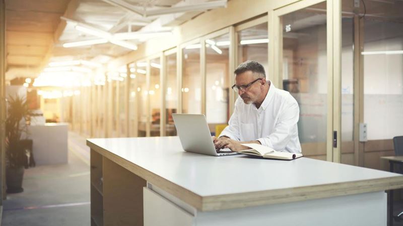 Top Undergraduate Degrees to Launch a Successful Writing Career