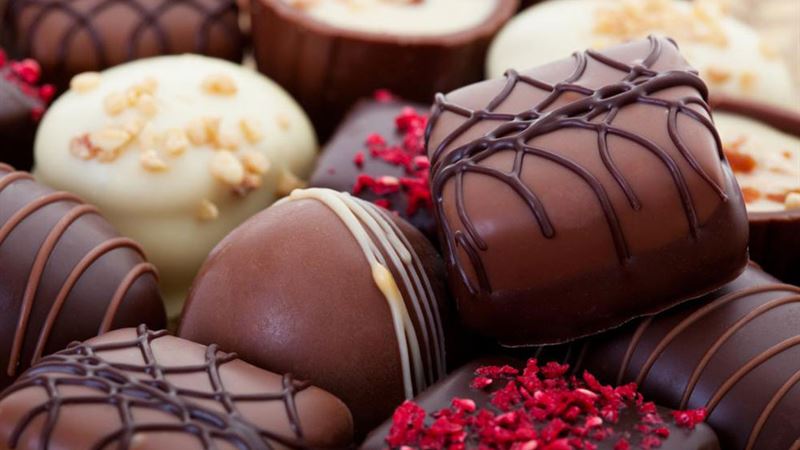 Ultimate Guide to Launching a Successful Gourmet Chocolate Business