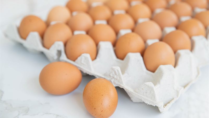 Comprehensive Guide to the Atkins Diet: Understanding Its Phases and Food Choices