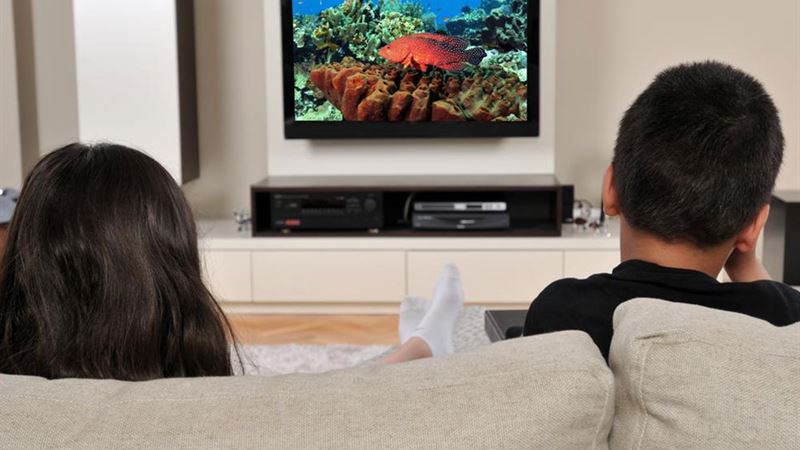 Comprehensive Guide to Selecting the Perfect TV Packages for Your Home