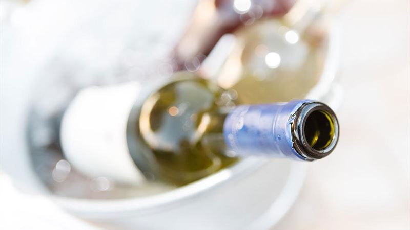 Discover Unbeatable Deals on Wine Coolers Through Online Retailers