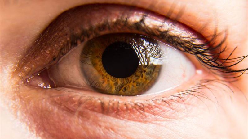 Comprehensive Guide to Recognizing and Managing Double Vision